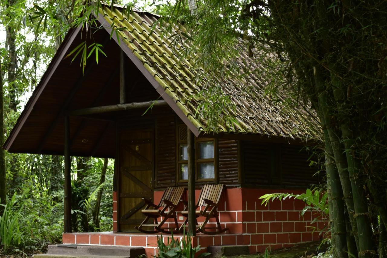 Lodge Arenal Oasis Eco Lodge&wildlife Refuge